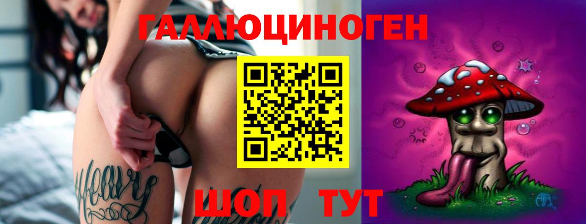 Псилоцибиновые грибы Cubensis Ковров
